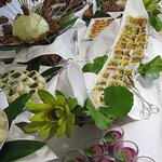 Bild 7 KOCHENDE LANDSCHAFTEN CATERING Mirella Halfar in Berlin