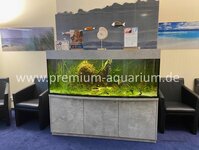 Bild 4 Premium Aquarium Berlin in Berlin
