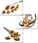 Bild 5 KOCHENDE LANDSCHAFTEN CATERING Mirella Halfar in Berlin