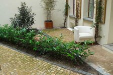 Bild 5 Alpin-Schneebeseitigungsgesellschaft mbH in Berlin