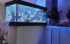 Bild 2 Premium Aquarium Berlin in Berlin
