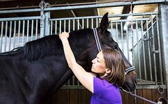 Bild 5 König in Berlin