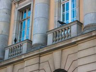 Bild 10 Schade in Berlin