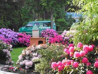 Bild 7 Detlef Blisse Garten- und Landschaftsbau GmbH in Berlin