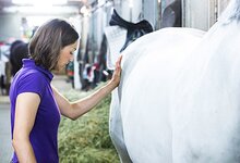 Bild 6 König in Berlin