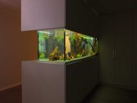 Bild 1 Premium Aquarium Berlin in Berlin