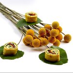 Bild 11 KOCHENDE LANDSCHAFTEN CATERING Mirella Halfar in Berlin