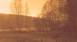 Bild 1 Erd- & Feuerbestattungen KADACH & Maurer in Berlin