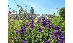 Bild 2 Schlosspark-Klinik GmbH in Berlin
