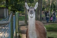 Bild 2 Brüggen in Brüggen