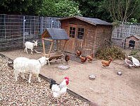 Bild 2 Tierschutzverein für den Kreis Neuss e.V. in Rommerskirchen