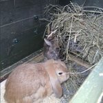 Bild 6 Heyer in Erkrath