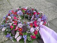 Bild 8 Annette Horst Blumen und Pflanzen in Wesel