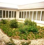 Bild 4 Schumann in Düsseldorf