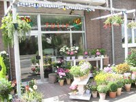 Bild 1 Blumenhaus Ernst Müller in Krefeld
