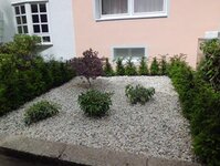 Bild 2 Rinsch in Krefeld