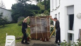 Bild 4 umzüge hack in Solingen