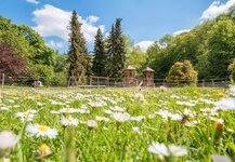 Bild 3 Advent-Wohlfahrtswerk Seniorenheim Neandertal in Mettmann