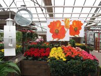 Bild 4 Blumen Schulte-Ortbeck in Voerde