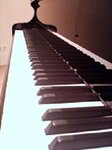 Bild 1 dalPIANOalFORTE - Klaviertechnik, Michael Carl in Düsseldorf