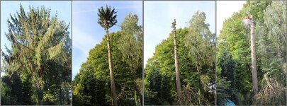 Bild 6 Wendling GbR in Erkrath