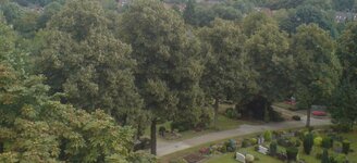 Bild 3 Bloemen in Kleve