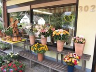 Bild 8 Lonzen in Düsseldorf