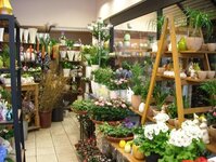 Bild 4 Blumen Bremkens Inh. Stefanie Wirtz e.K. in Düsseldorf
