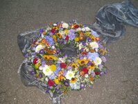 Bild 9 Annette Horst Blumen und Pflanzen in Wesel