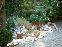 Bild 1 Lamboy Design & Garten in Hilden