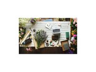 Bild 6 Blumen Wilms in Ratingen