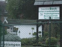Bild 1 Bock in Viersen