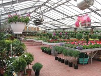 Bild 3 Blumen Schulte-Ortbeck in Voerde