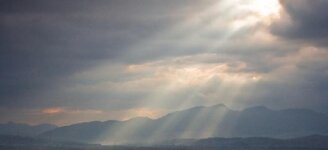 Bild 4 Bloemen in Kleve