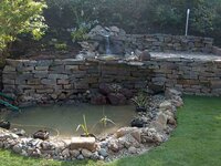 Bild 2 Der Grüne Daumen Wackers in Kempen