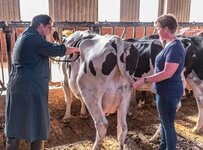 Bild 1 Tierarztpraxis Reichling für Kleintiere & Großtiere in Weeze Fachtierarzt für Rinder 24-Stunden NOTDIENST in Weeze