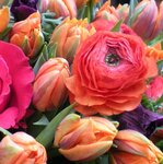 Bild 4 Blumen-Bender Inh. Ute Bender in Neuss