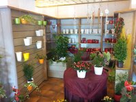 Bild 6 Romana's Blumenladen in Kamp-Lintfort