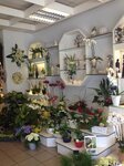 Bild 3 Weißweiler Gerd Blumen am Ring in Mönchengladbach