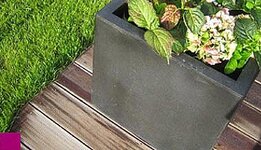 Bild 4 Steegmann in Kevelaer