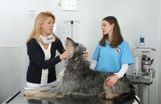 Bild 9 Gemmer in Meerbusch