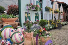 Bild 8 Oerdinger in Korschenbroich
