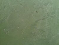 Bild 4 Malerwerkstätte Mersmann in Willich