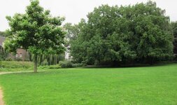 Bild 1 Schmidt in Krefeld
