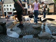 Bild 3 art gerecht Inh. Sylvia Werner in Schwalmtal