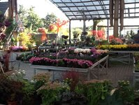Bild 1 Der Pflanzgarten GmbH in Dinslaken