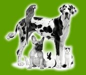 Bild 2 Tierarztpraxis Petra Scheunert in Solingen