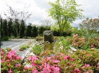 Bild 8 Steegmann in Kevelaer