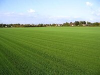 Bild 7 Fonk in Rheinberg