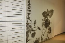 Bild 1 d+s tischlerei gmbh in Kamp-Lintfort